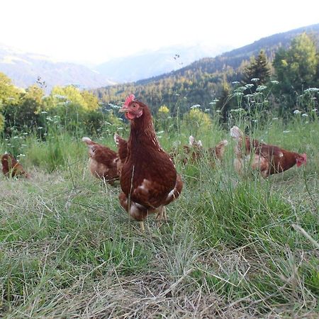 Appartement Stallfeldhof Hopfgarten im Brixental Zewnętrze zdjęcie